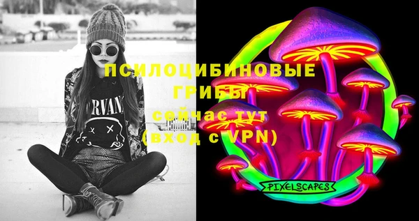 спиды Карпинск