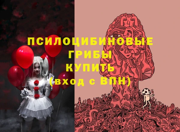 a pvp Каменка